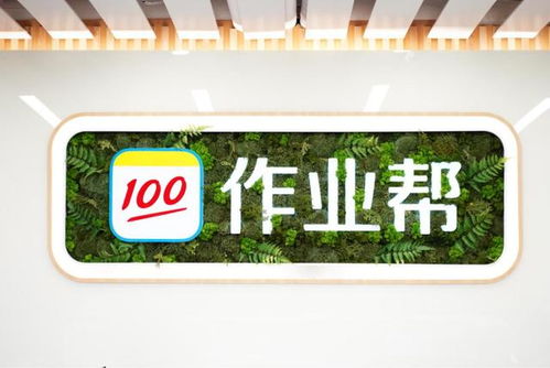 作业帮逆势募集7.5亿美元E轮投资 自有流量“核武”效果显现，职业教育投资成新突破口
