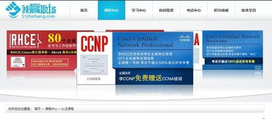 我赢职场获真格基金200万天使投资，在线IT职业教育赛道再添变数